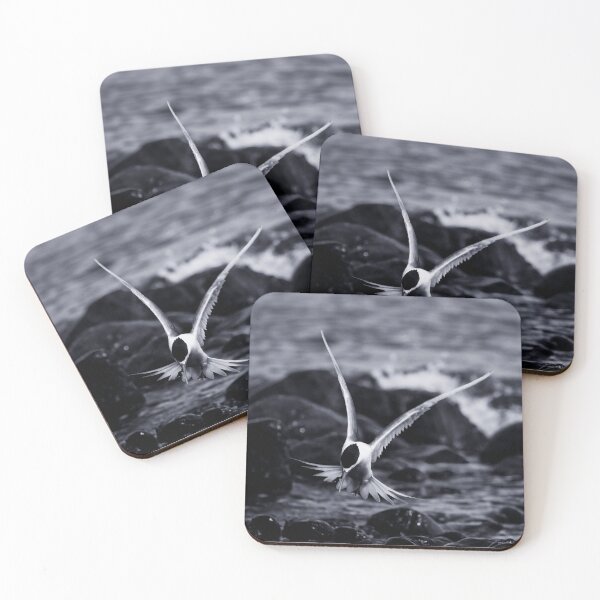 Item preview, Crested Tern_VOA8098A designed and sold by SEADOGPRINTS.