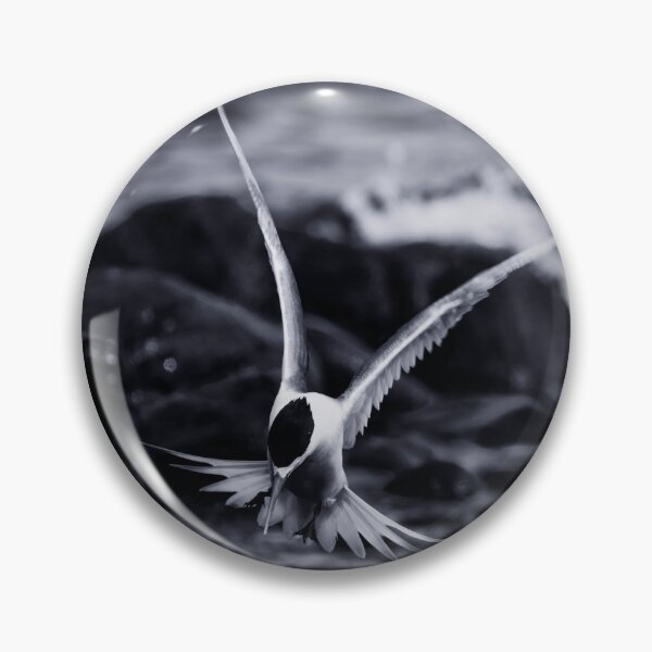 Item preview, Crested Tern_VOA8098A designed and sold by SEADOGPRINTS.