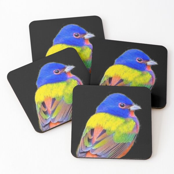 Item preview, RAINBOW COLORED BIRD designed and sold by THE AMERICAN TEEVANGELIST.