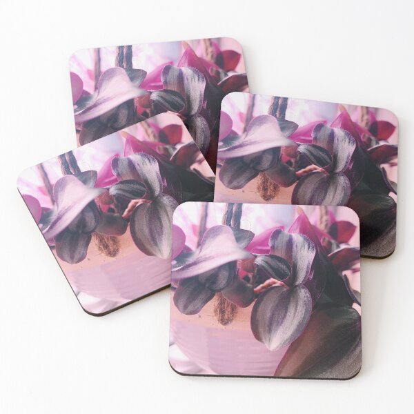 Item preview, Tradescantia Zebrina 2 designed and sold by grdnstplantmom.