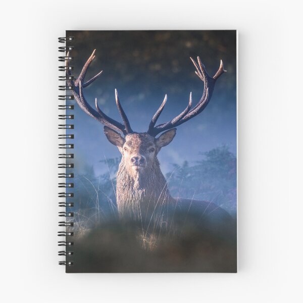 Item preview, Red Deer Stag designed and sold by Ian Hufton.