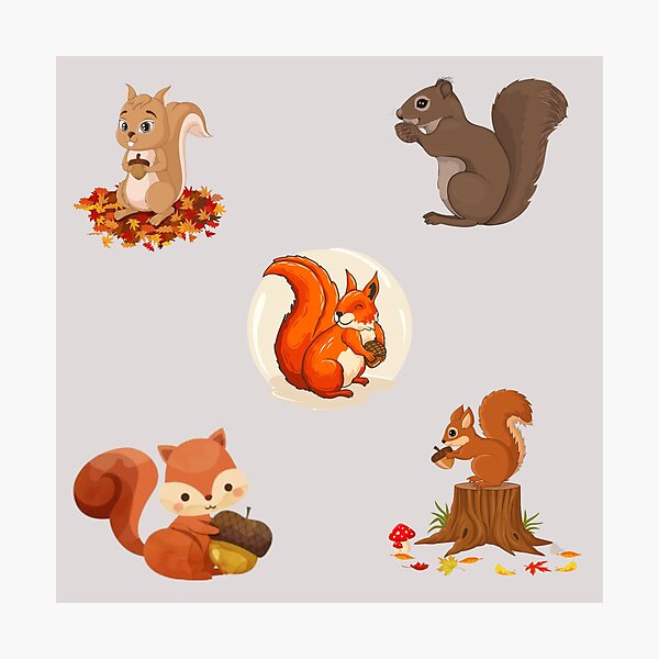 Item preview, Squirrel! designed and sold by TheAnimalZ00.