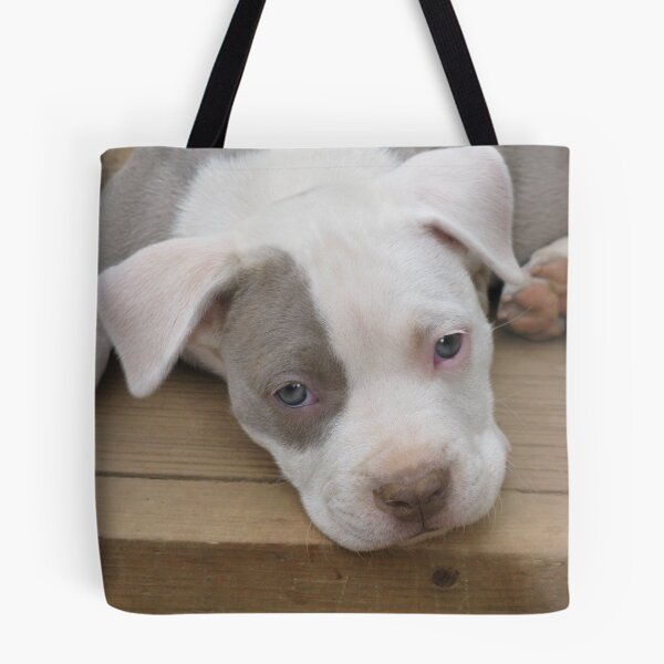 Item preview, Zoey designed and sold by Ginny York.
