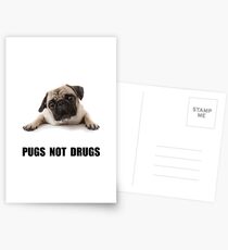 Pugs Not Drugs Postcards