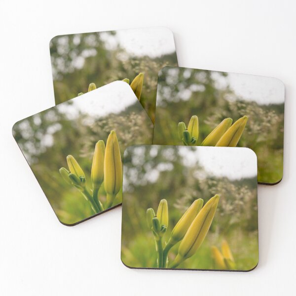 Item preview, blb double day lilies designed and sold by pcfyi.