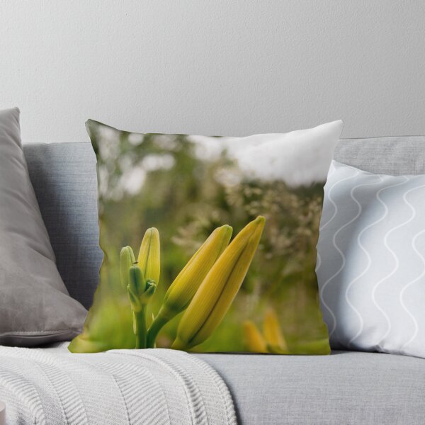 Item preview, blb double day lilies designed and sold by pcfyi.