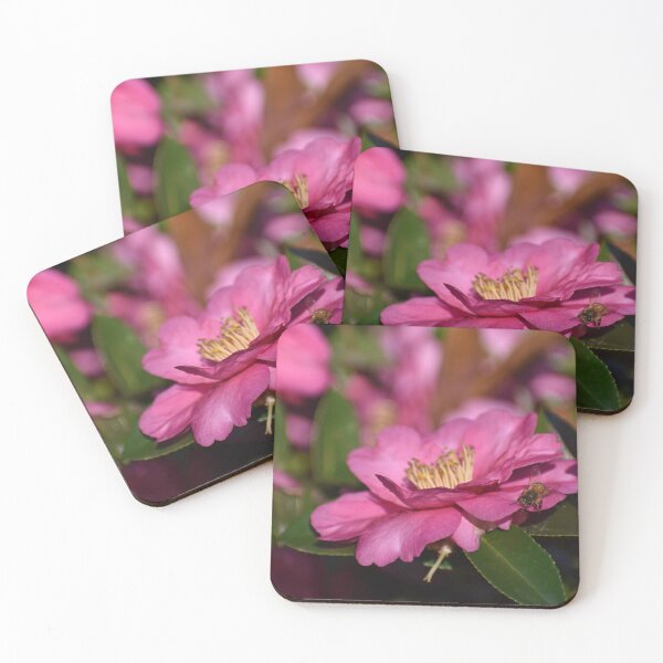 Item preview, Honey Bee Pollinating Pink Flower III designed and sold by M-Washington.