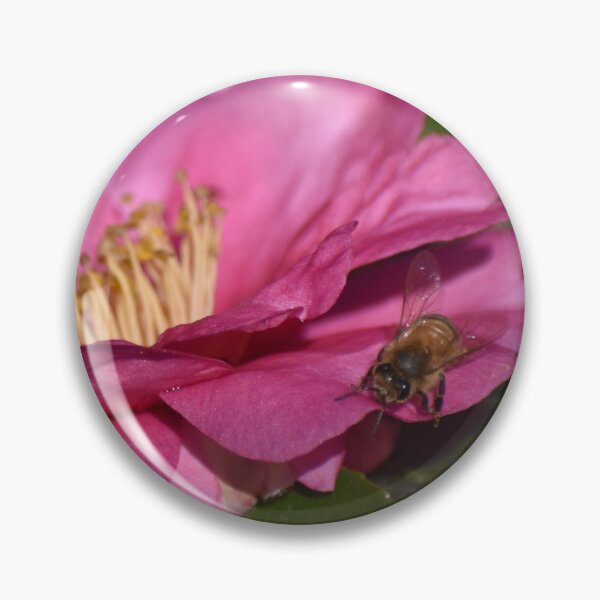 Artikelvorschau, Honigbiene bestäubt rosa Blume III entworfen und verkauft von M-Washington.