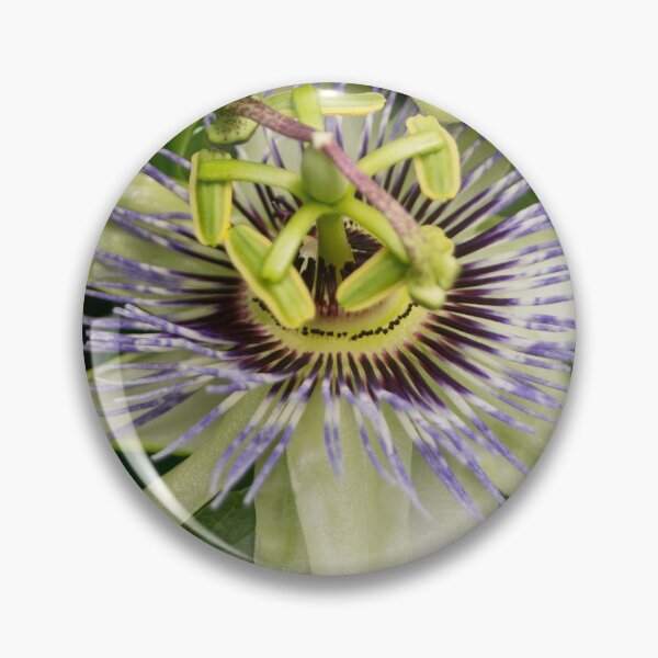 Item preview, blb passion fruit designed and sold by pcfyi.