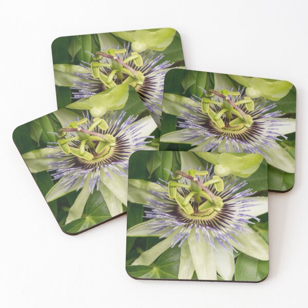 Item preview, blb passion fruit designed and sold by pcfyi.