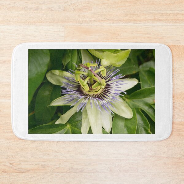 Item preview, blb passion fruit designed and sold by pcfyi.