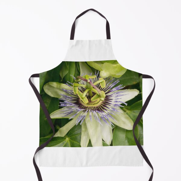Item preview, blb passion fruit designed and sold by pcfyi.