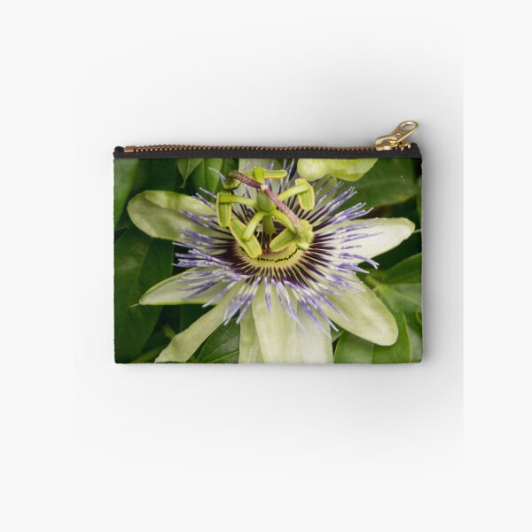 Item preview, blb passion fruit designed and sold by pcfyi.