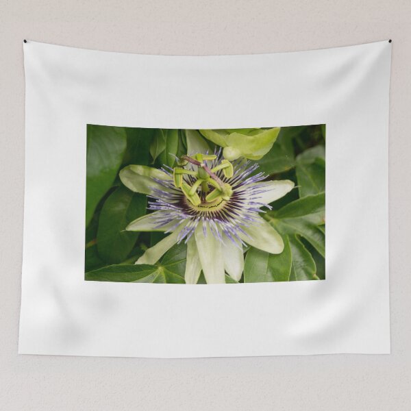Item preview, blb passion fruit designed and sold by pcfyi.