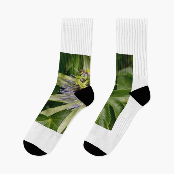 Item preview, blb passion fruit designed and sold by pcfyi.