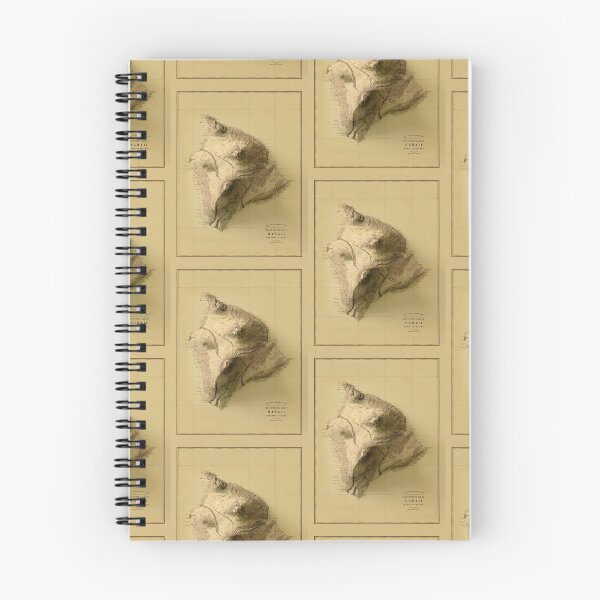 Item preview, 1886 Hawaii Island Relief Map 3D digitally-rendered designed and sold by ThinkAboutMaps.