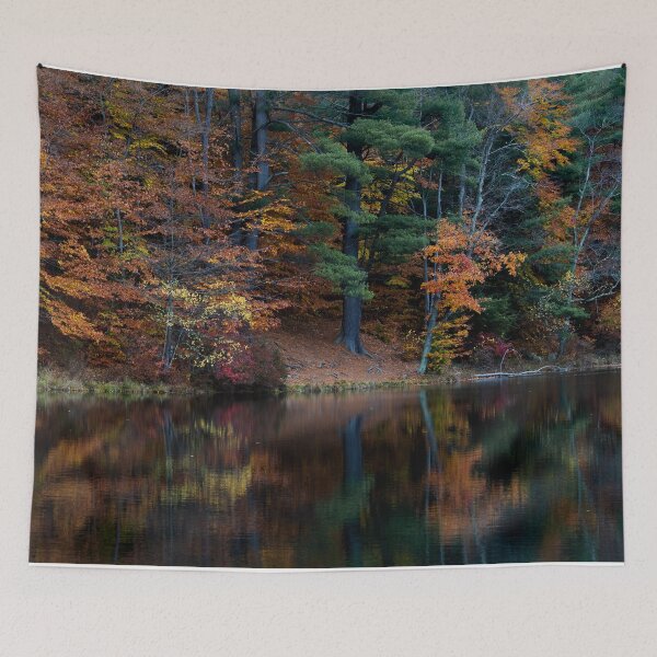 Item preview, Fall Reflection designed and sold by Walsh Arts.