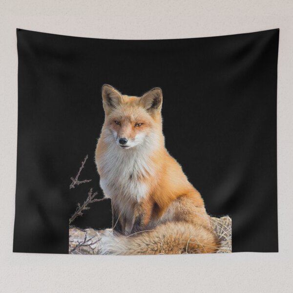 Item preview, RED FOX designed and sold by THE AMERICAN TEEVANGELIST.