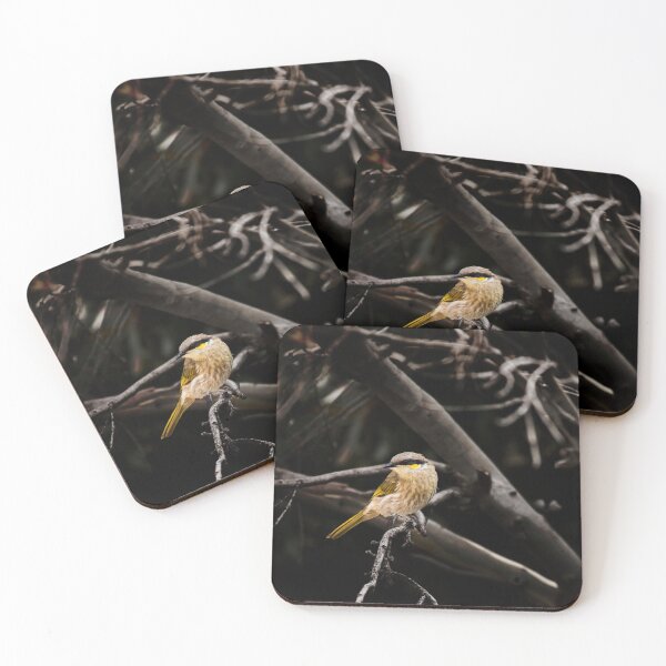 Item preview, Singing Honeyeater_VOA8137 designed and sold by SEADOGPRINTS.