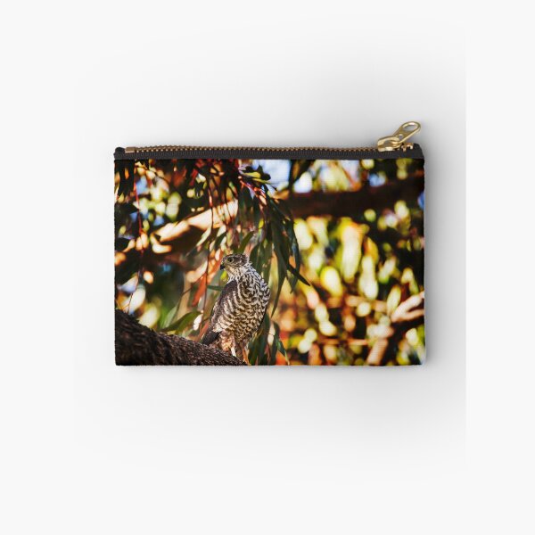 Item preview, Brown Goshawk_VOA8386A designed and sold by SEADOGPRINTS.