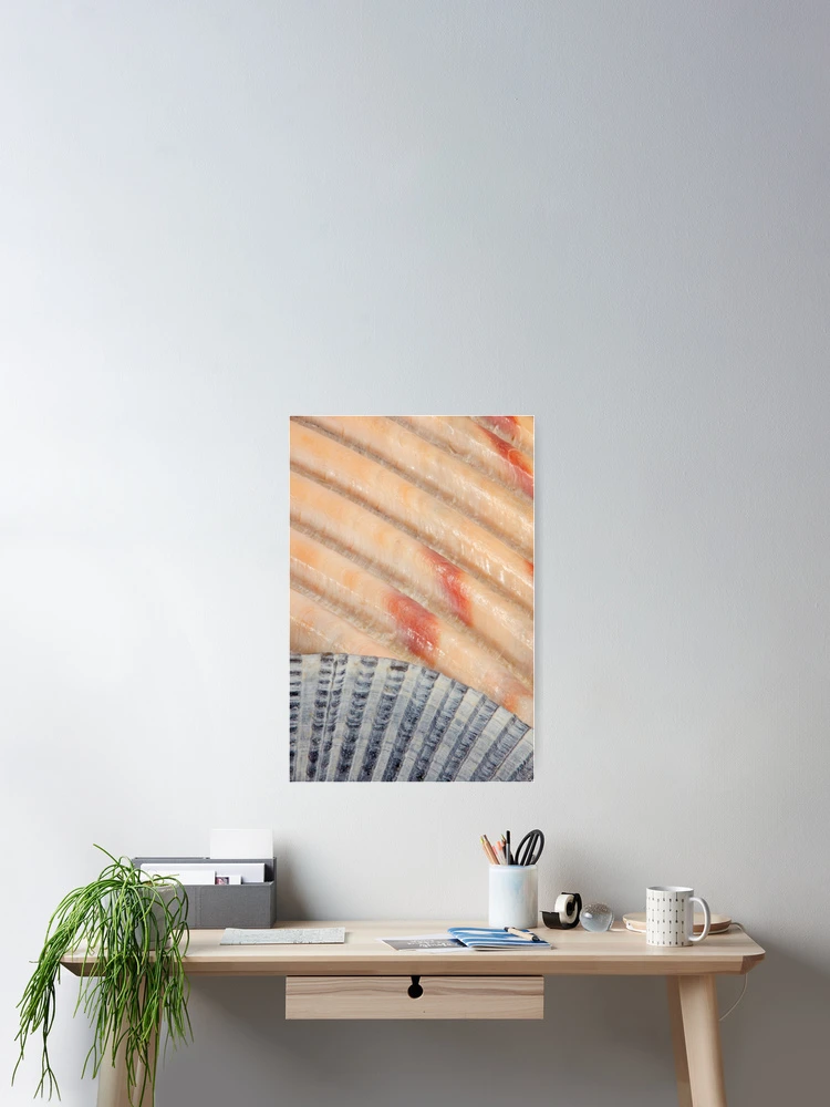Thumbnail 2 of 3, Poster, Seashells designed and sold by WorldDesign.