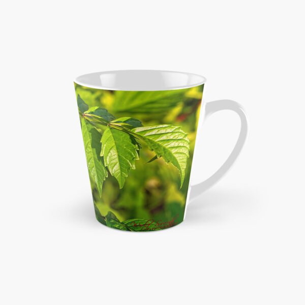 Item preview, Making the most of a sunny morning (4) designed and sold by Wolf Sverak Photography.