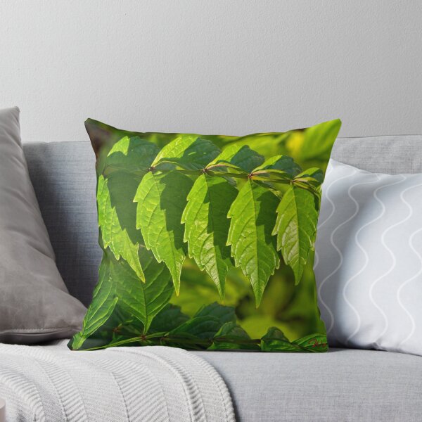 Item preview, Making the most of a sunny morning (4) designed and sold by Wolf Sverak Photography.