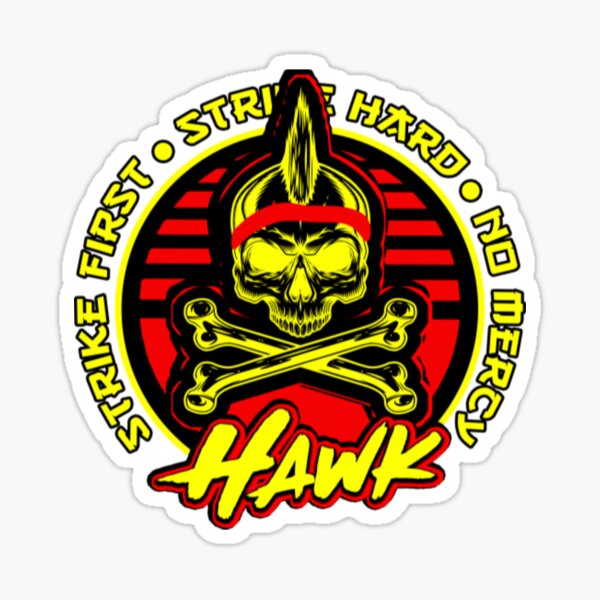 Cobra Kai Hawk Dark Skull - NeatoShop