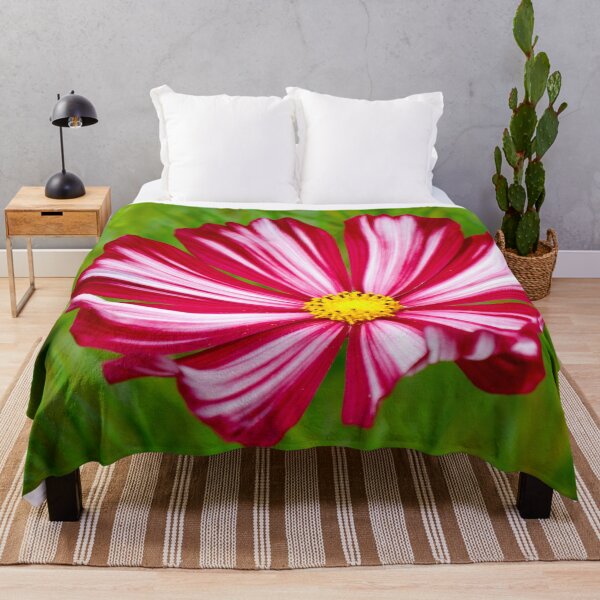 Item preview, Crazy for Candy Stripe Cosmos designed and sold by Rivercoatl.