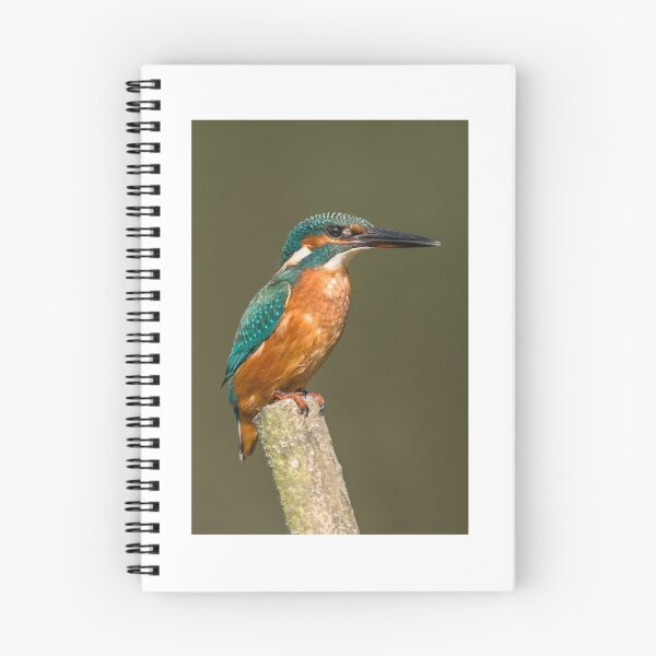 Item preview, Kingfisher designed and sold by Ian Hufton.