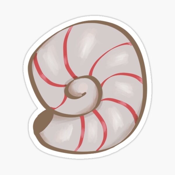 Nautilus Shell Stickers Redbubble