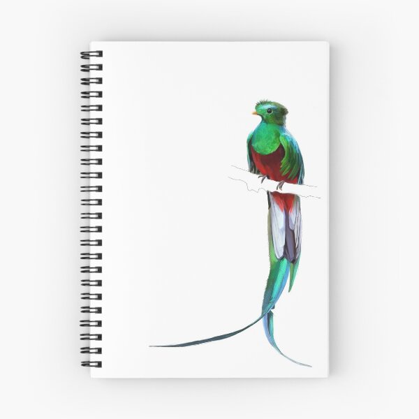 Item preview, Resplendent Quetzal Bird Art designed and sold by Jennifer Ackerman.