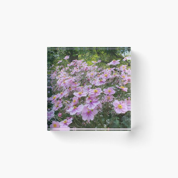 Item preview, Pink Anemones  designed and sold by Alisonchambers2.