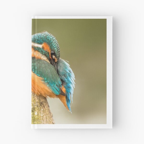 Item preview, Kingfisher designed and sold by Ian Hufton.