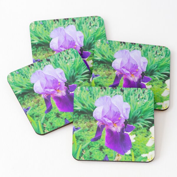 Item preview, Violet iris in blossom, natural perfection  designed and sold by helenkaiy.