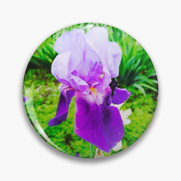 Item preview, Violet iris in blossom, natural perfection  designed and sold by helenkaiy.