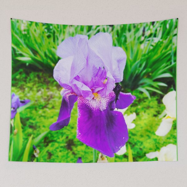 Item preview, Violet iris in blossom, natural perfection  designed and sold by helenkaiy.