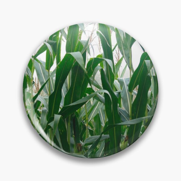 Item preview, Corn designed and sold by Sigbert Georgi.