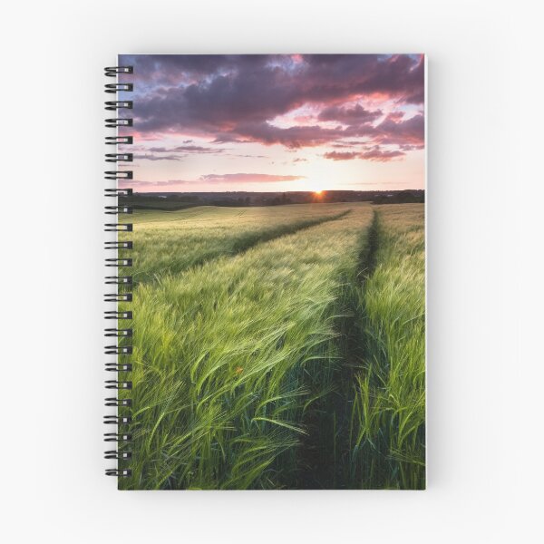Item preview, Barley fields at Sunset designed and sold by Ian Hufton.