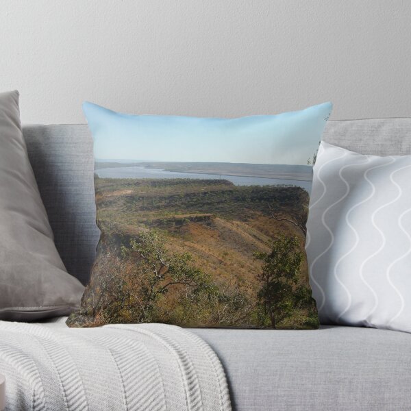 Throw Pillow