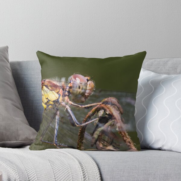 Item preview, Dragonfly designed and sold by Ian Hufton.