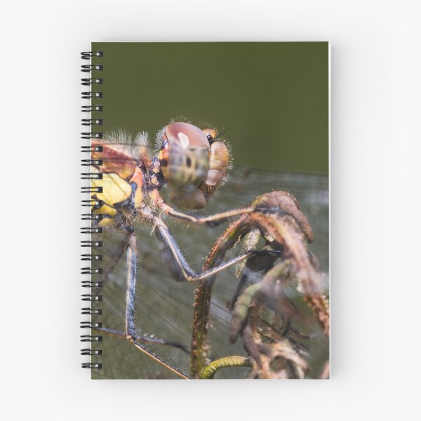 Item preview, Dragonfly designed and sold by Ian Hufton.