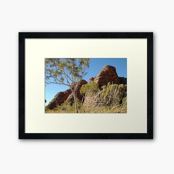 Framed Print