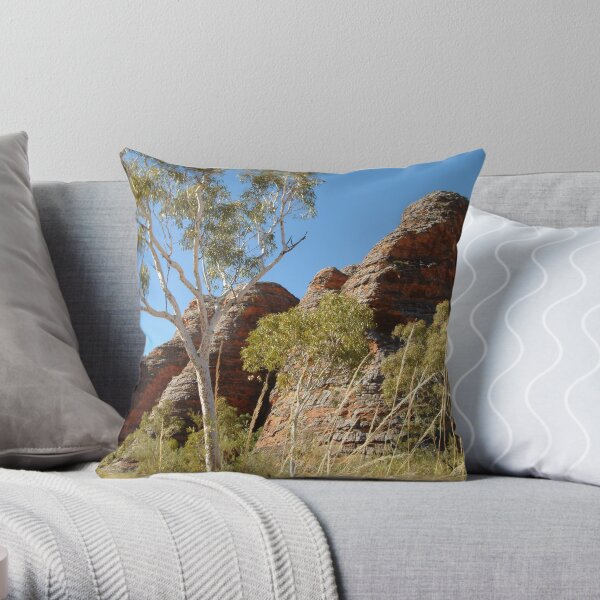 Throw Pillow