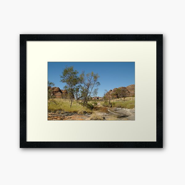 Framed Print