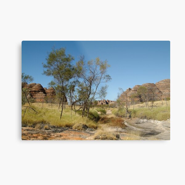 Metal Print