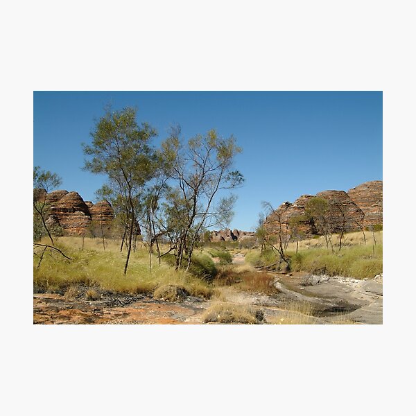 Photographic Print