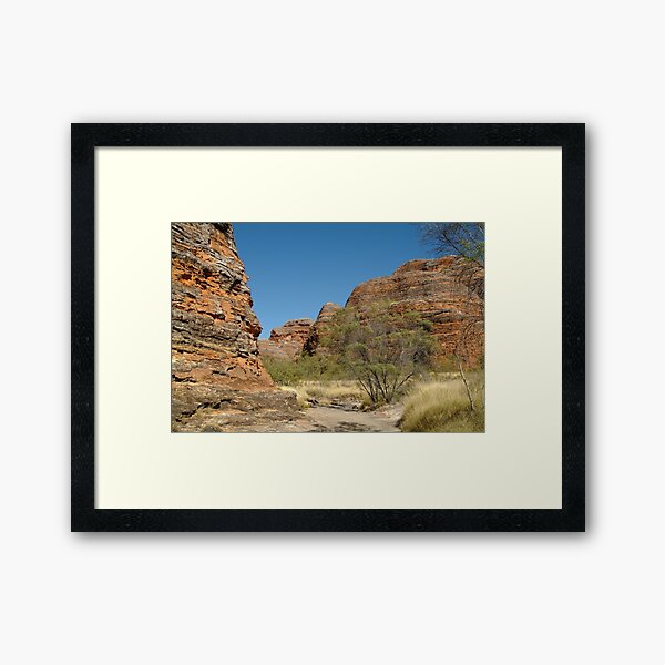Framed Print