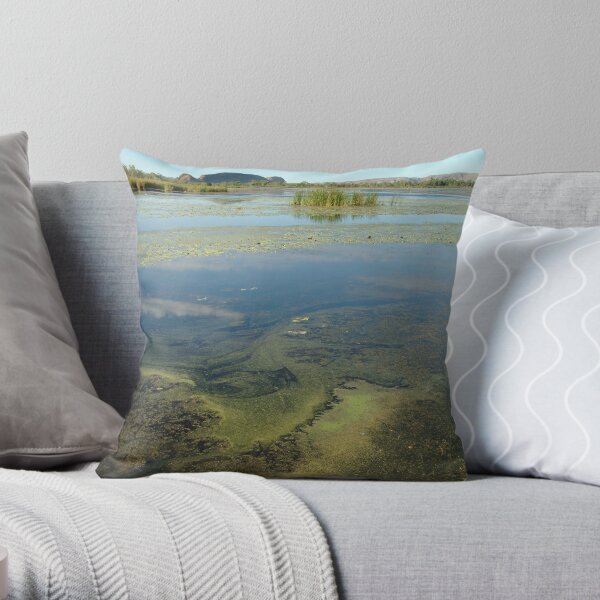 Throw Pillow