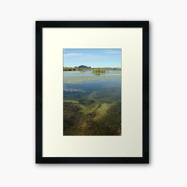 Framed Print